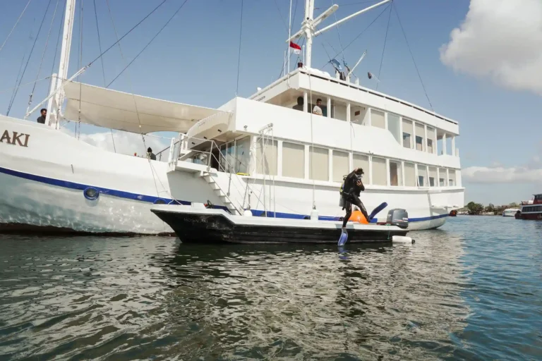 Mosalaki Cruise Scuba Diving 2027: Best Dive Sites and Packages in Komodo National Park