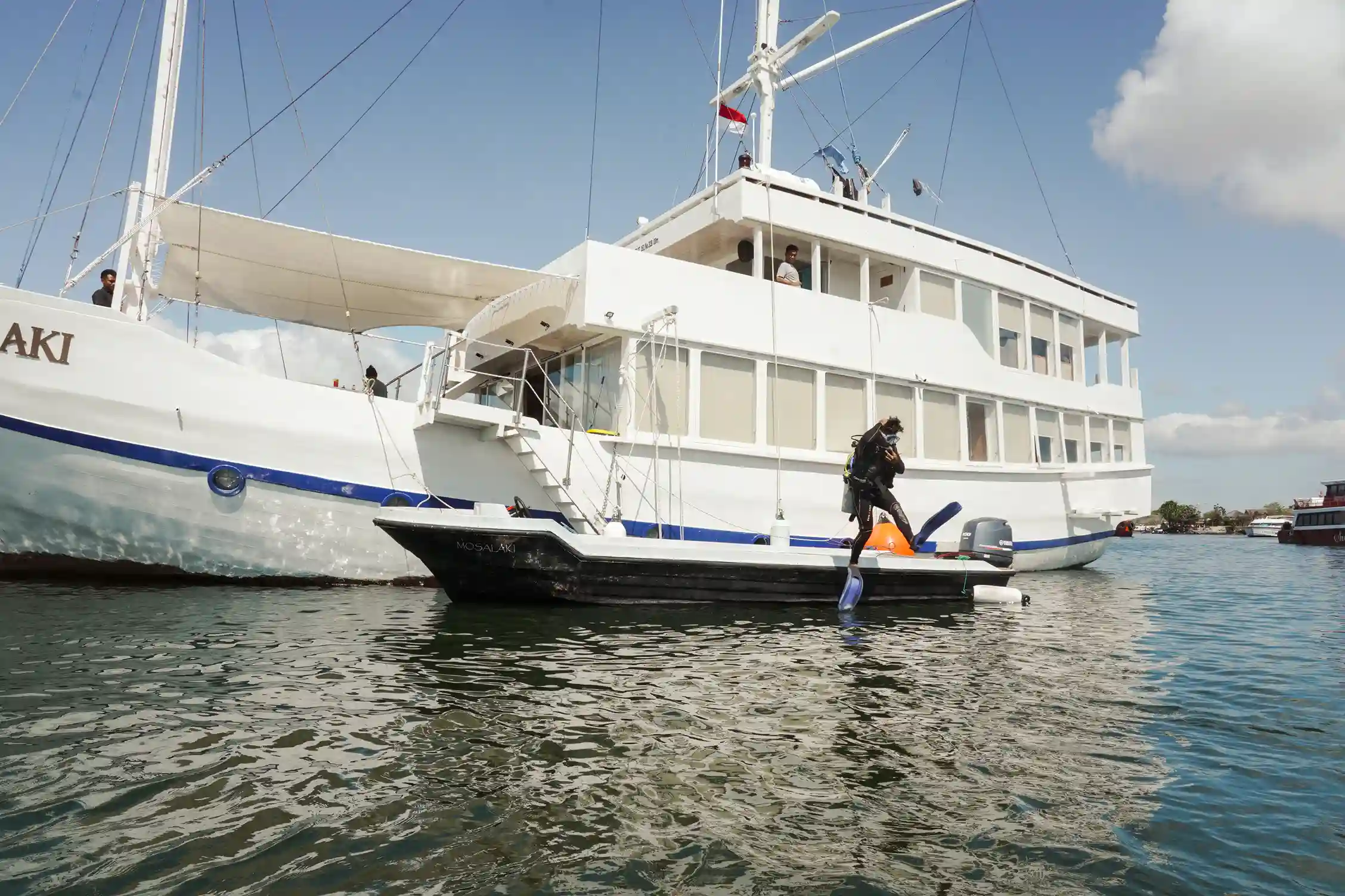 Mosalaki Cruise Scuba Diving 2027: Best Dive Sites and Packages in Komodo National Park