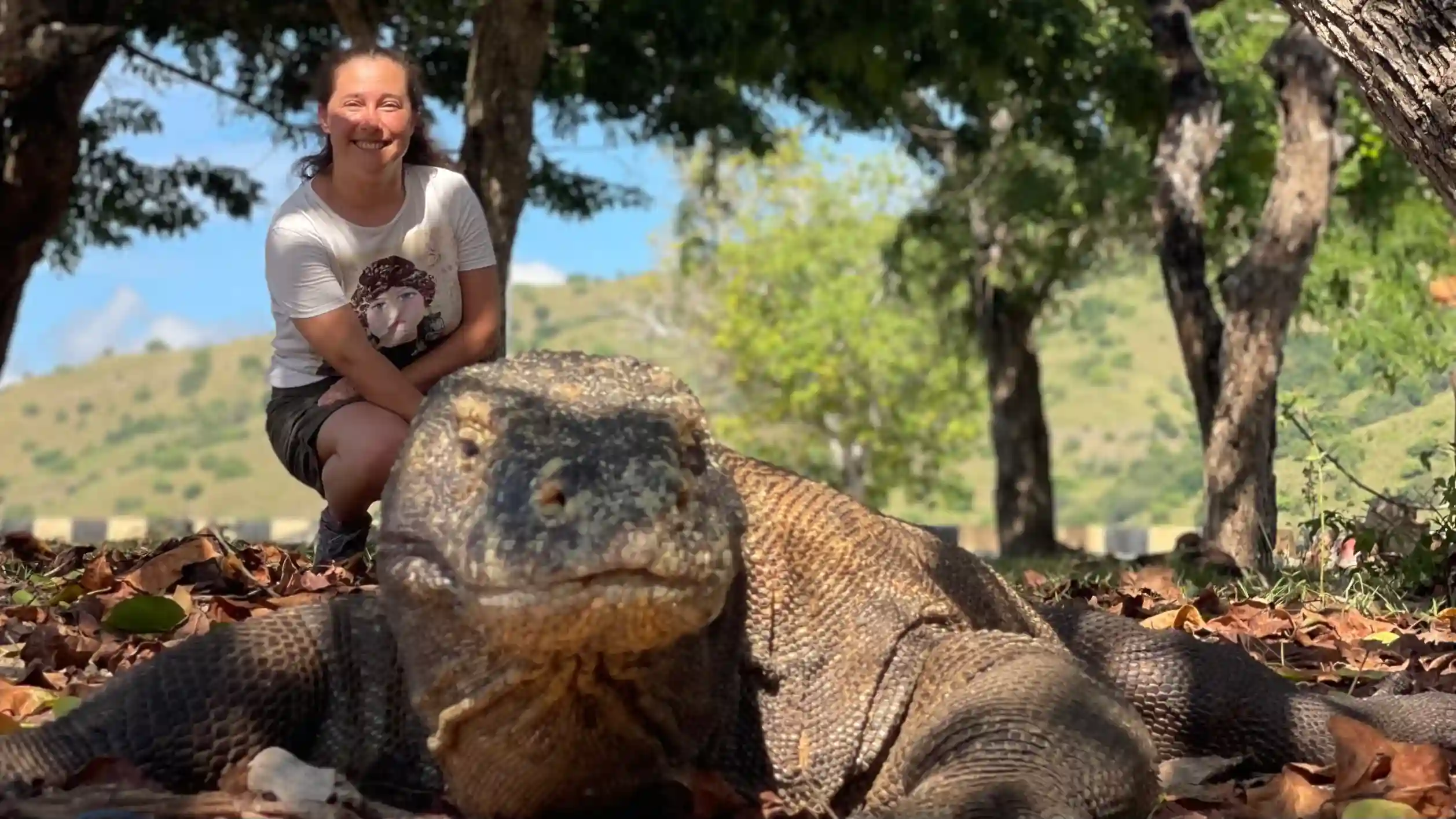 Komodo Dragon