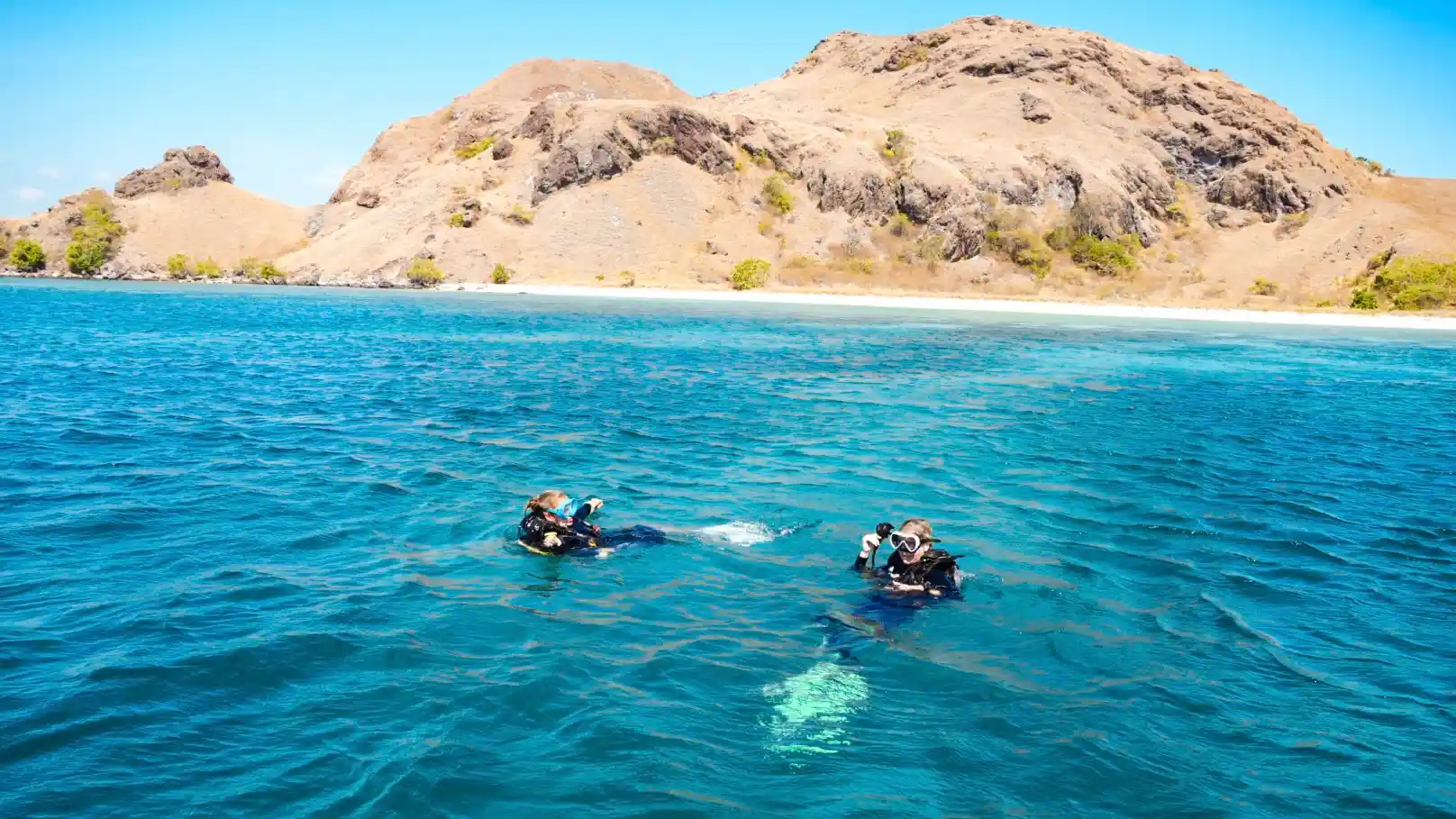 Diver exploring Komodo coral gardens