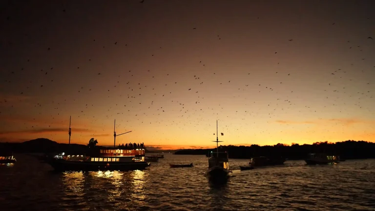 Sunset and flying foxes at Kalong Island