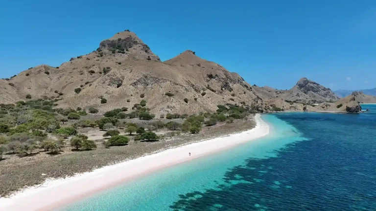 Pink Beach shoreline in Komodo National Park