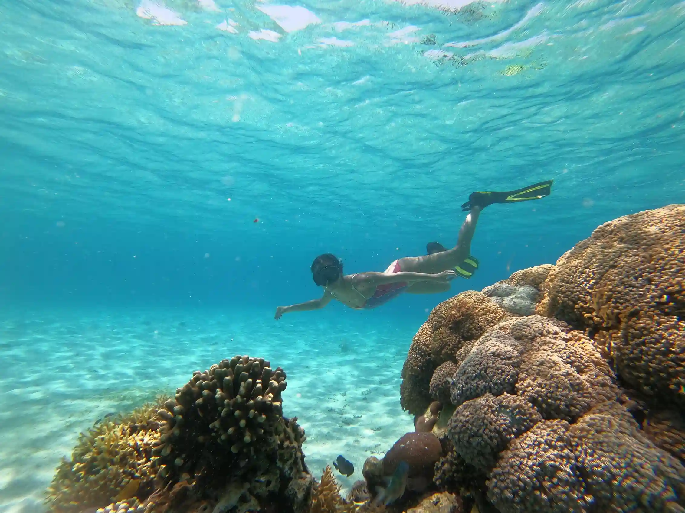 Snorkeller over a Komodo coral garden
